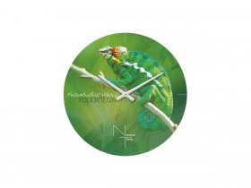 Часы настенные Nicole Time NT503 в Депутатском - deputatskij.mebel-nsk.ru | фото